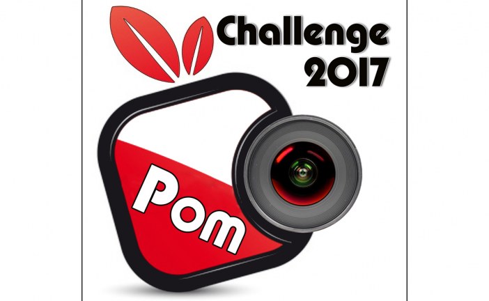 Challenge de diaporamas POM 17 le vendredi 17 mars 17 à Ste Geneviève des Bois