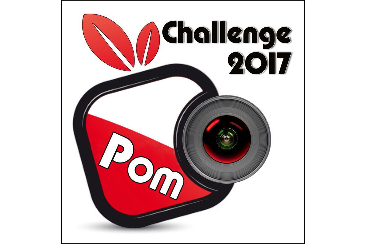 Challenge de diaporamas POM 17 le vendredi 17 mars 17 à Ste Geneviève des Bois