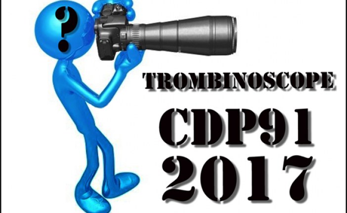 Trombinoscope CDP 91