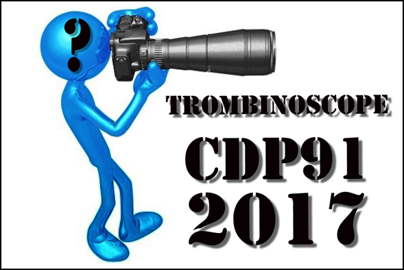 Trombinoscope CDP 91