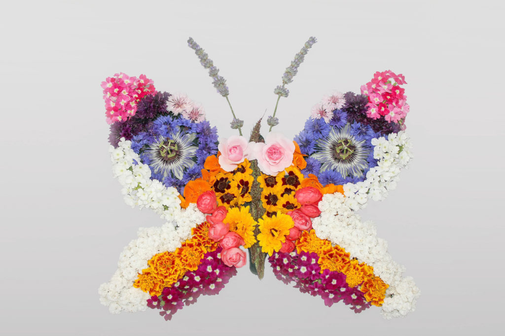 2ème Prix du Public cl : "Papillon en fleurs" - Manon Ancelin / Imathis Athis Mons
