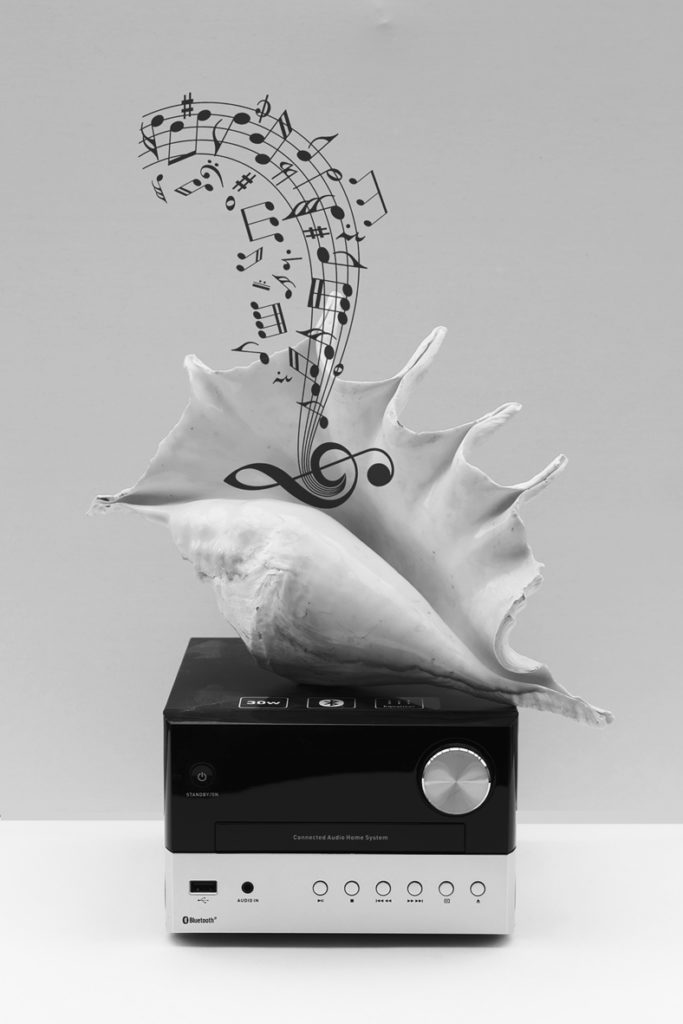 Prix de l’Agglo Cœur d’Essonne n& : "Enceintes de musique naturelle" - Patrice Hamon / Arpajon