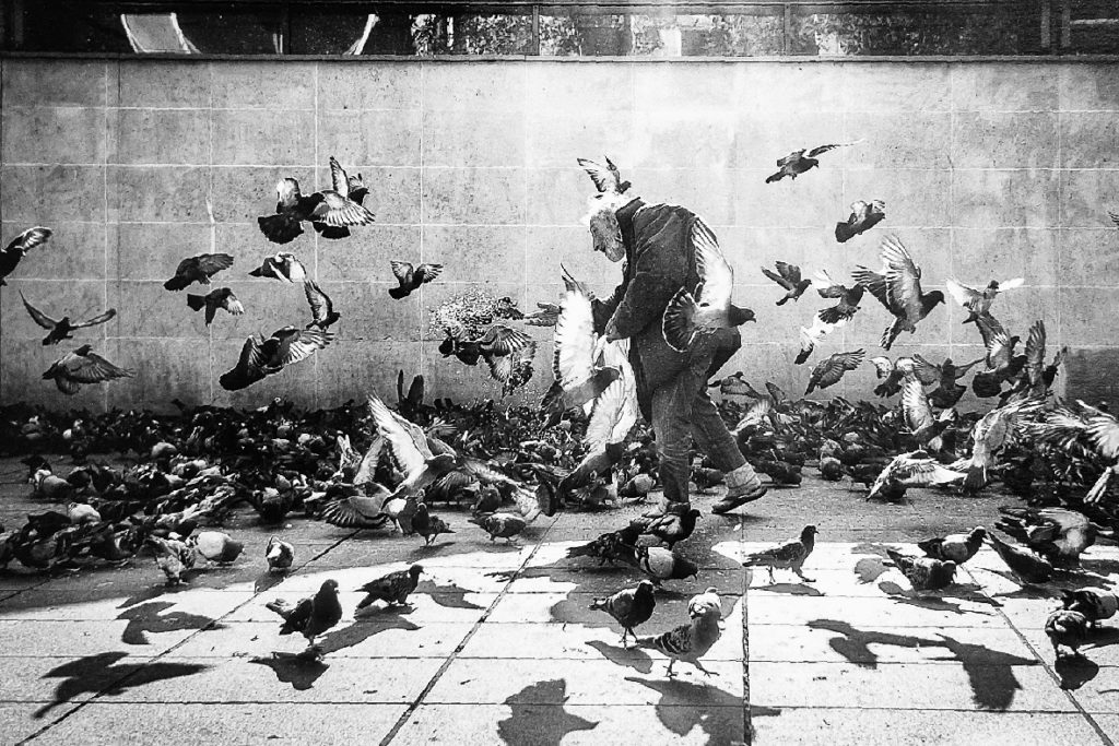 02 - Prix du jury noir & blanc : « Festin des pigeons » - Heurlié Cyrille / Orsay CPO