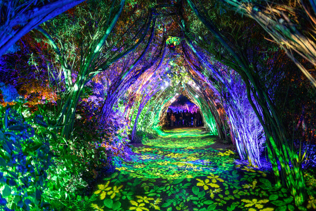 3ème prix couleur du public - « Arche lumineuse », Jean Flaviano - Espace Photo Sainte-Geneviève-des